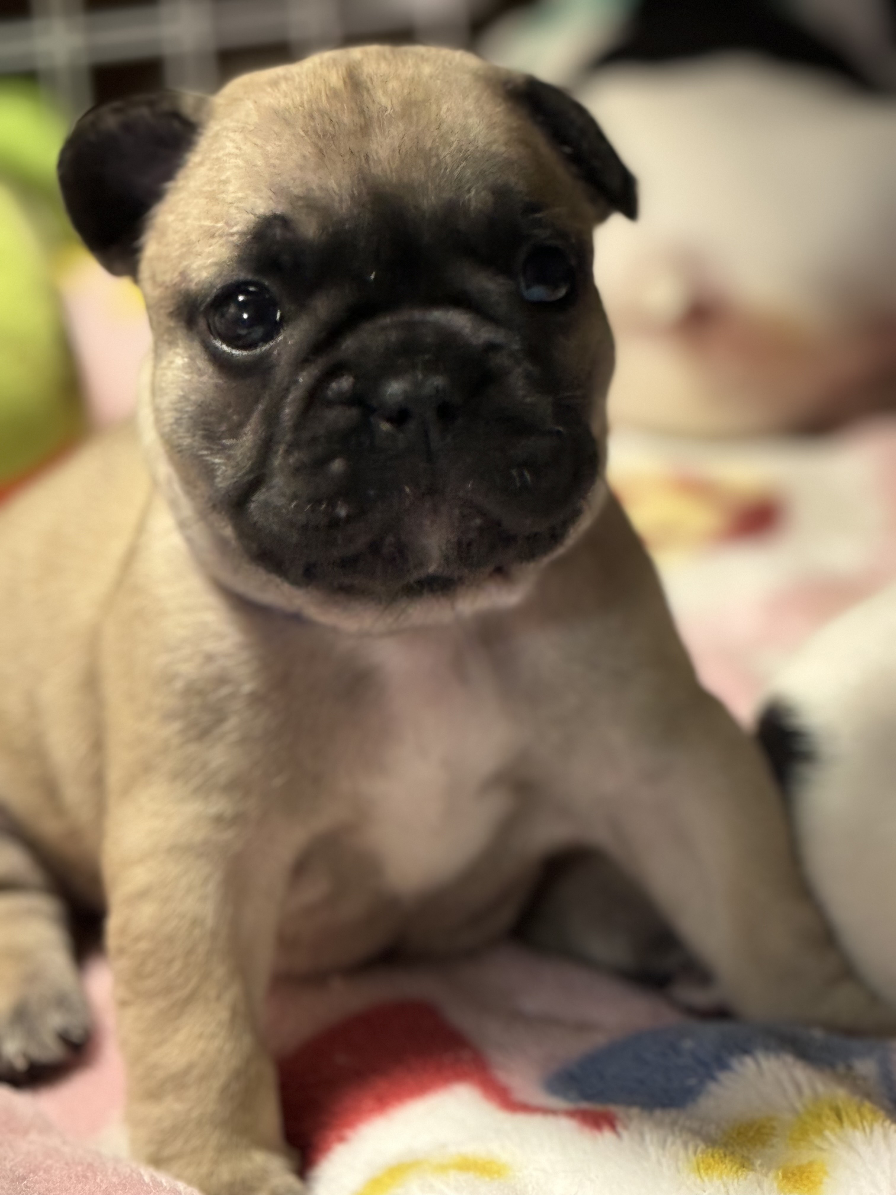 7/13 �t�H�[�������