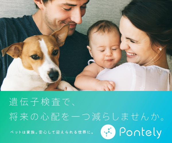 Dog�� �t�����`�u���h�b�O