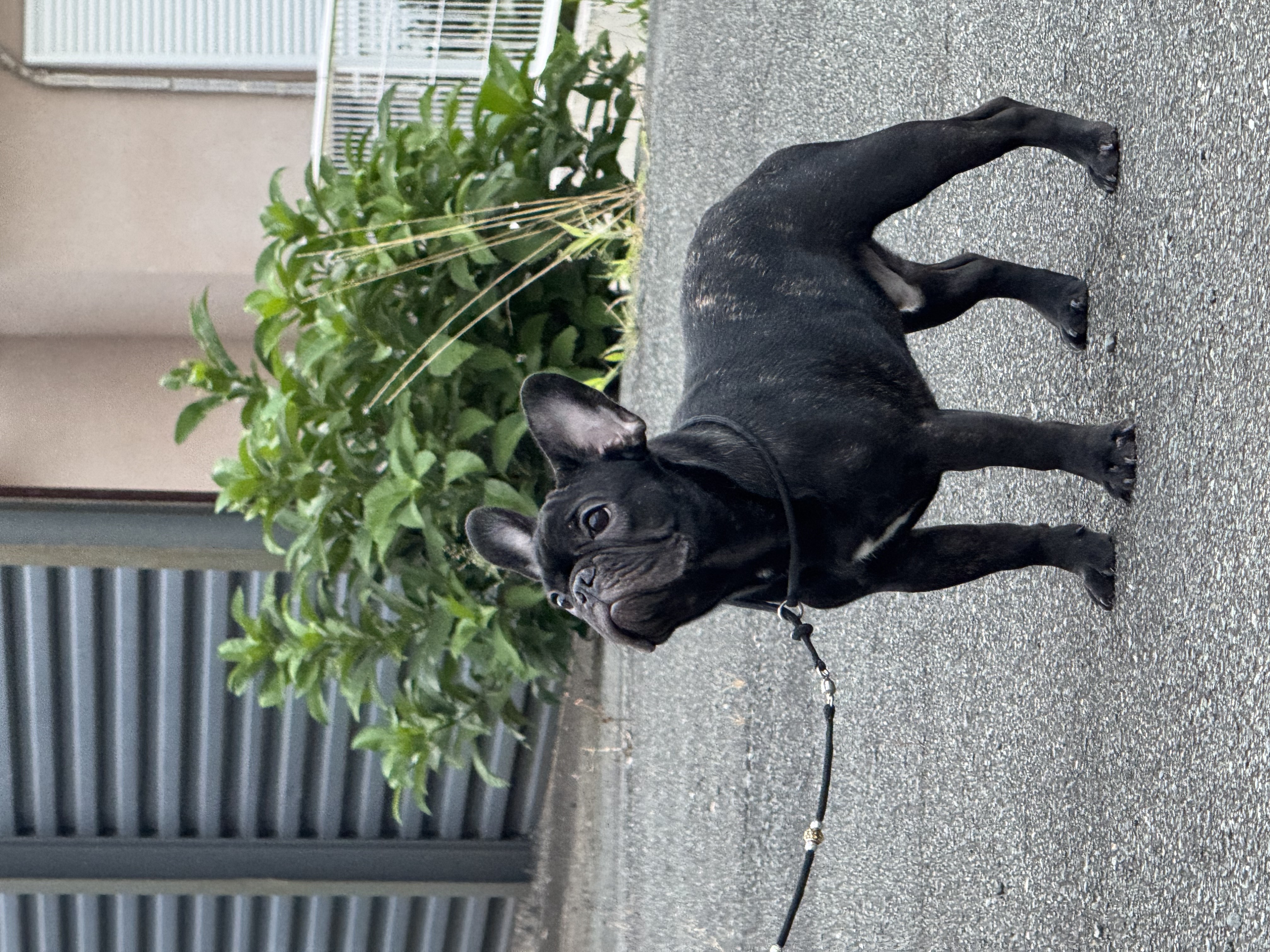 2/1 �t�H�[����