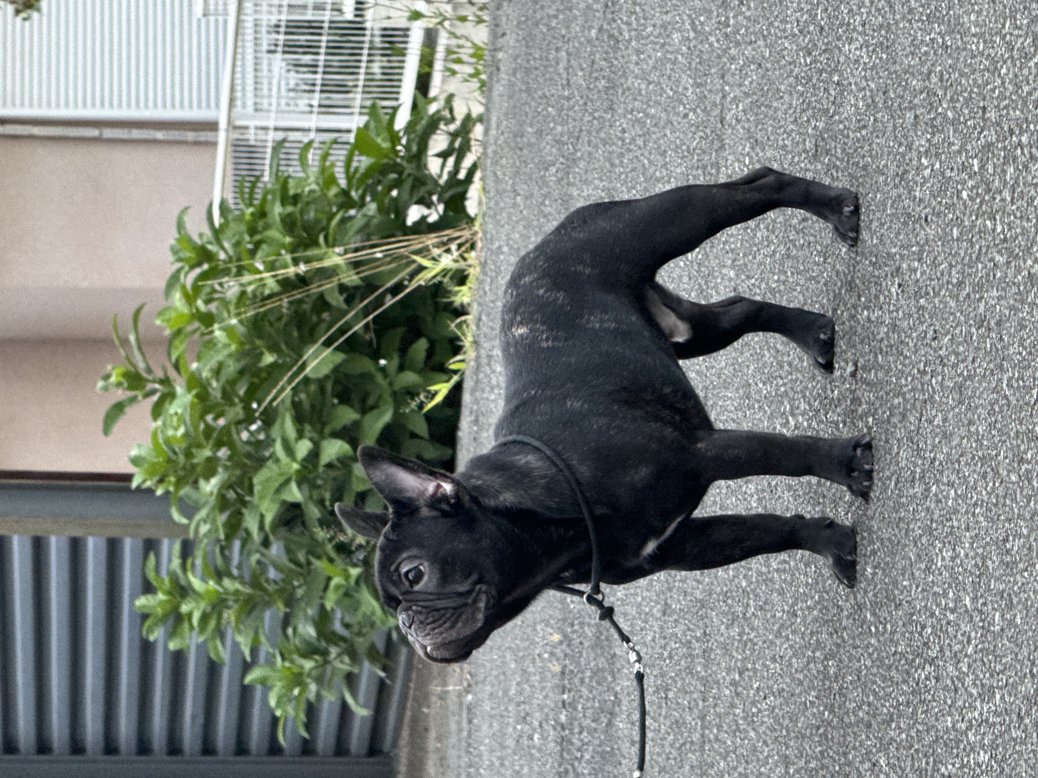 2/1 �t�H�[����