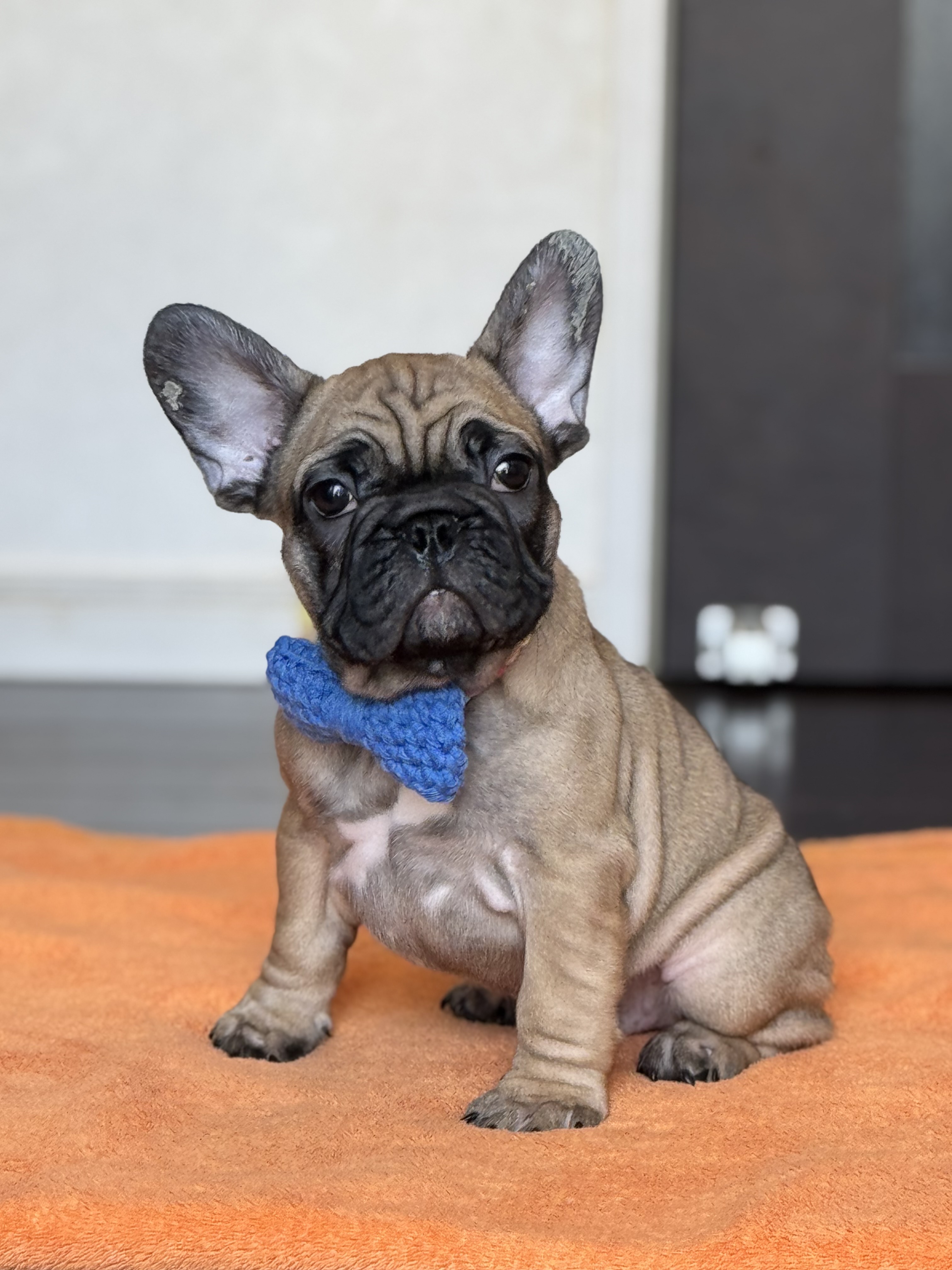 2/1 �t�H�[��