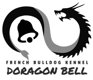 �t�����`�u���h�b�O DOG��