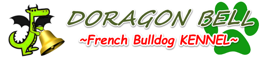 �t�����`�u���h�b�O DOG��