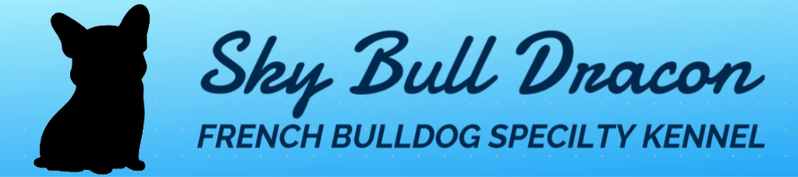 �X�J�C�u�� �h���S��