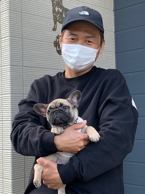 フレンチブルドッグ DOG∞