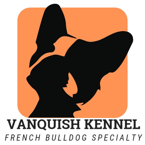 �t�����`�u���h�b�O �����s