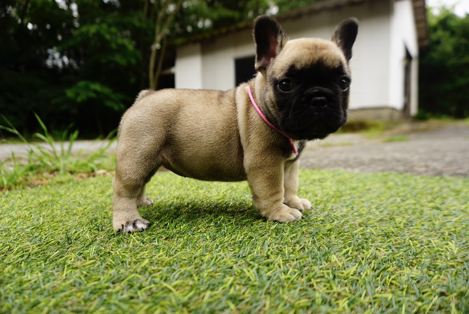 5/8 �t�H�[�����s���N