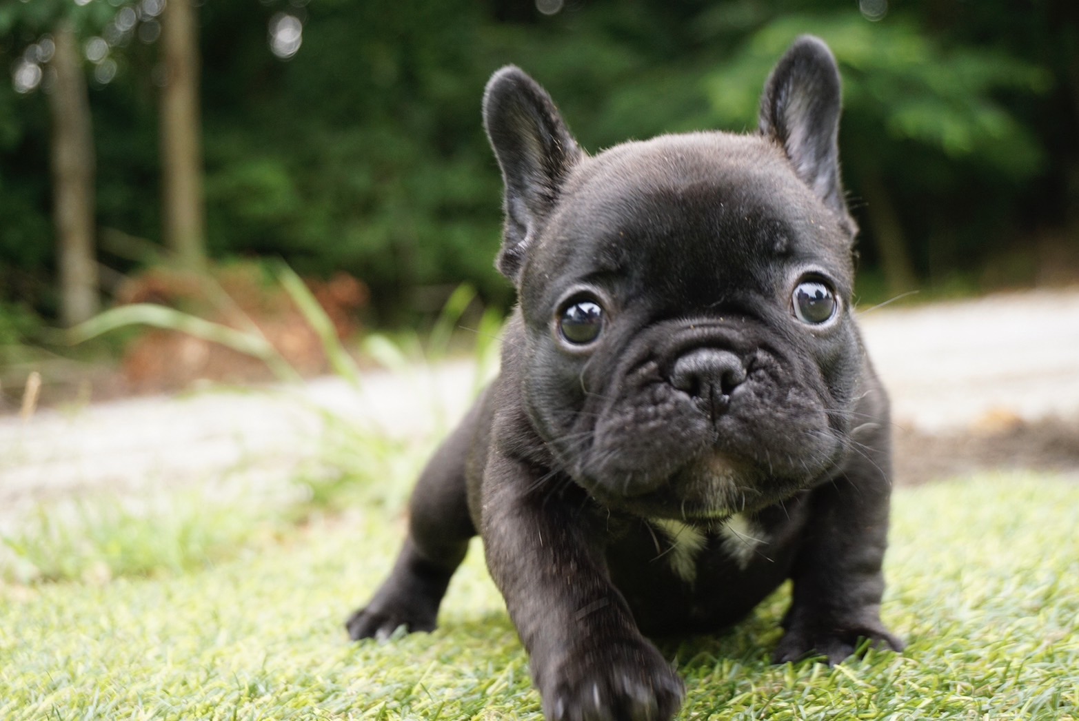 5/8 �u�����h����