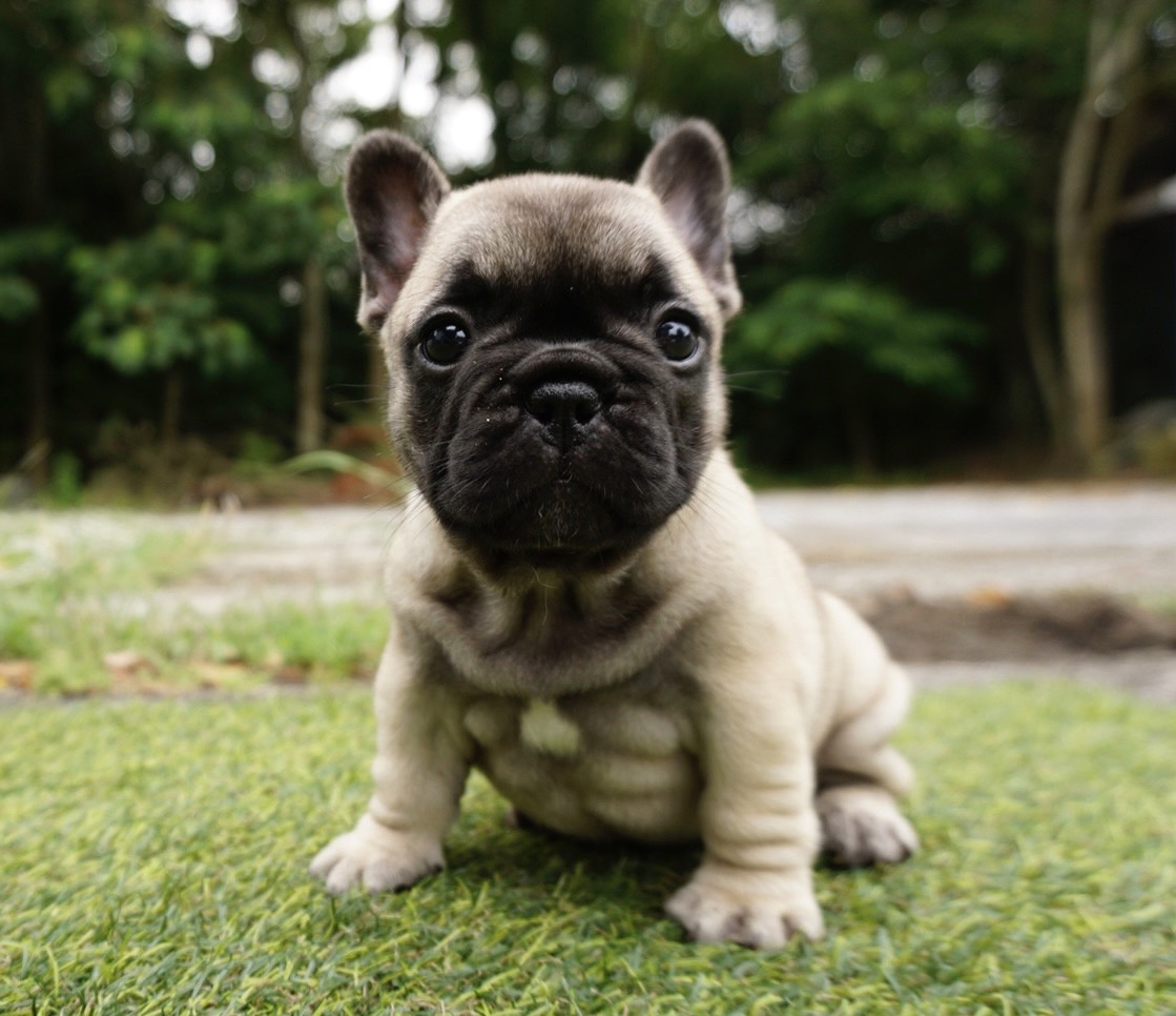 5/8 �t�H�[����