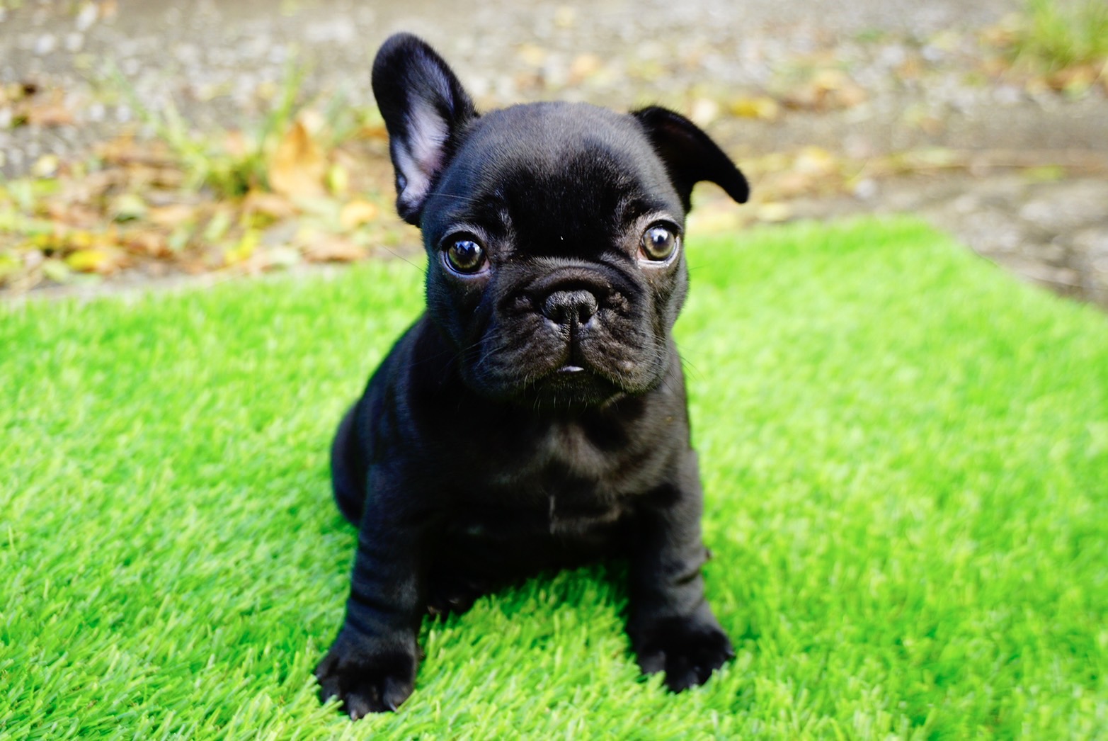 8/29�u�����h�� ��