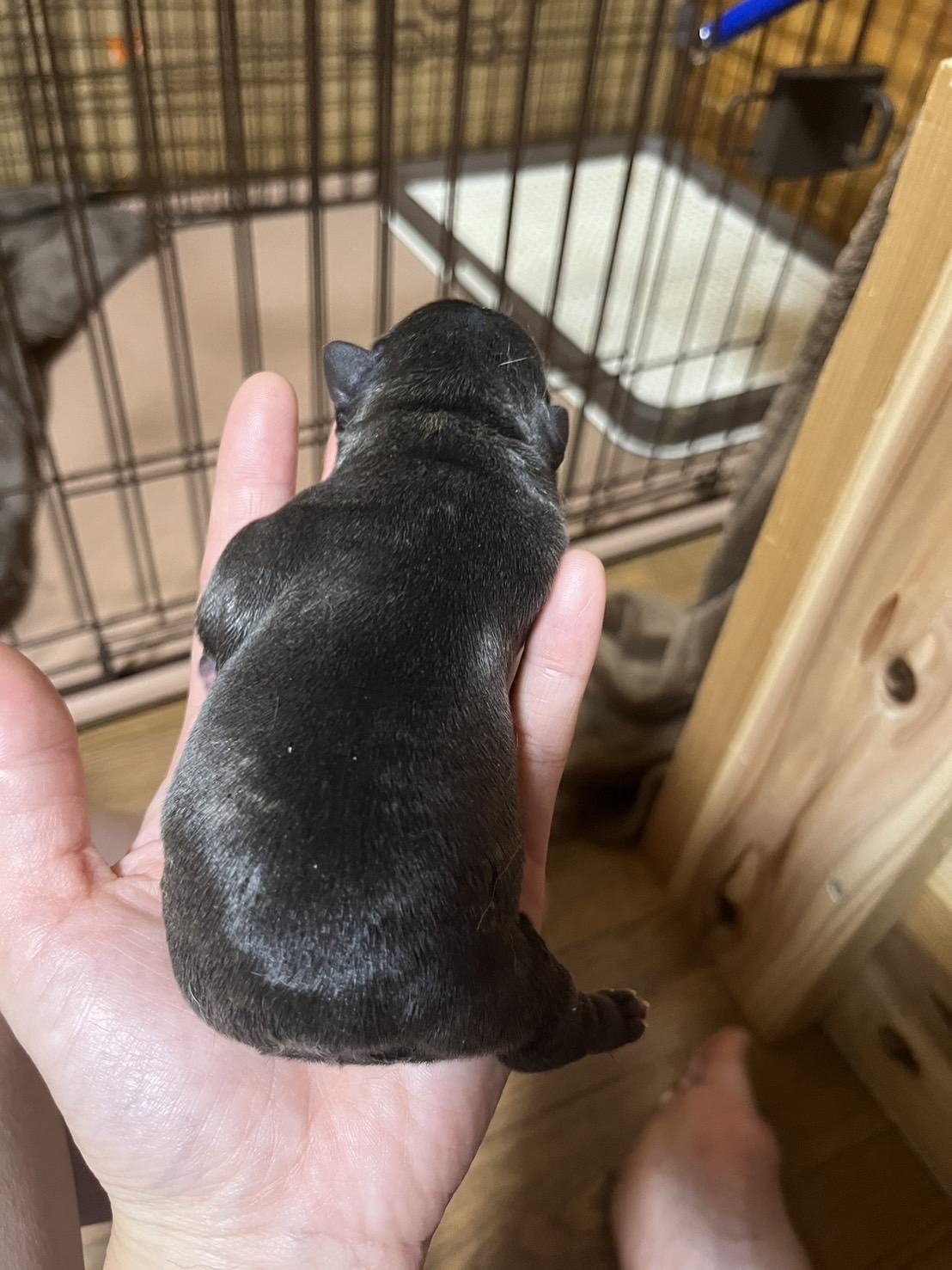 7/19 �u�����h��