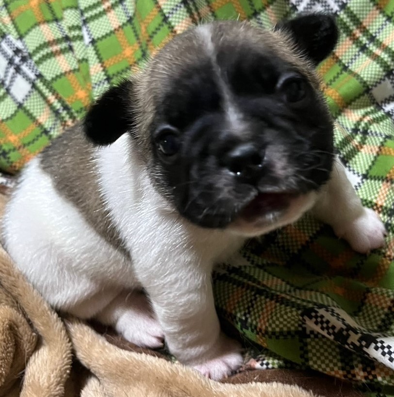 7/19 �u�����h��