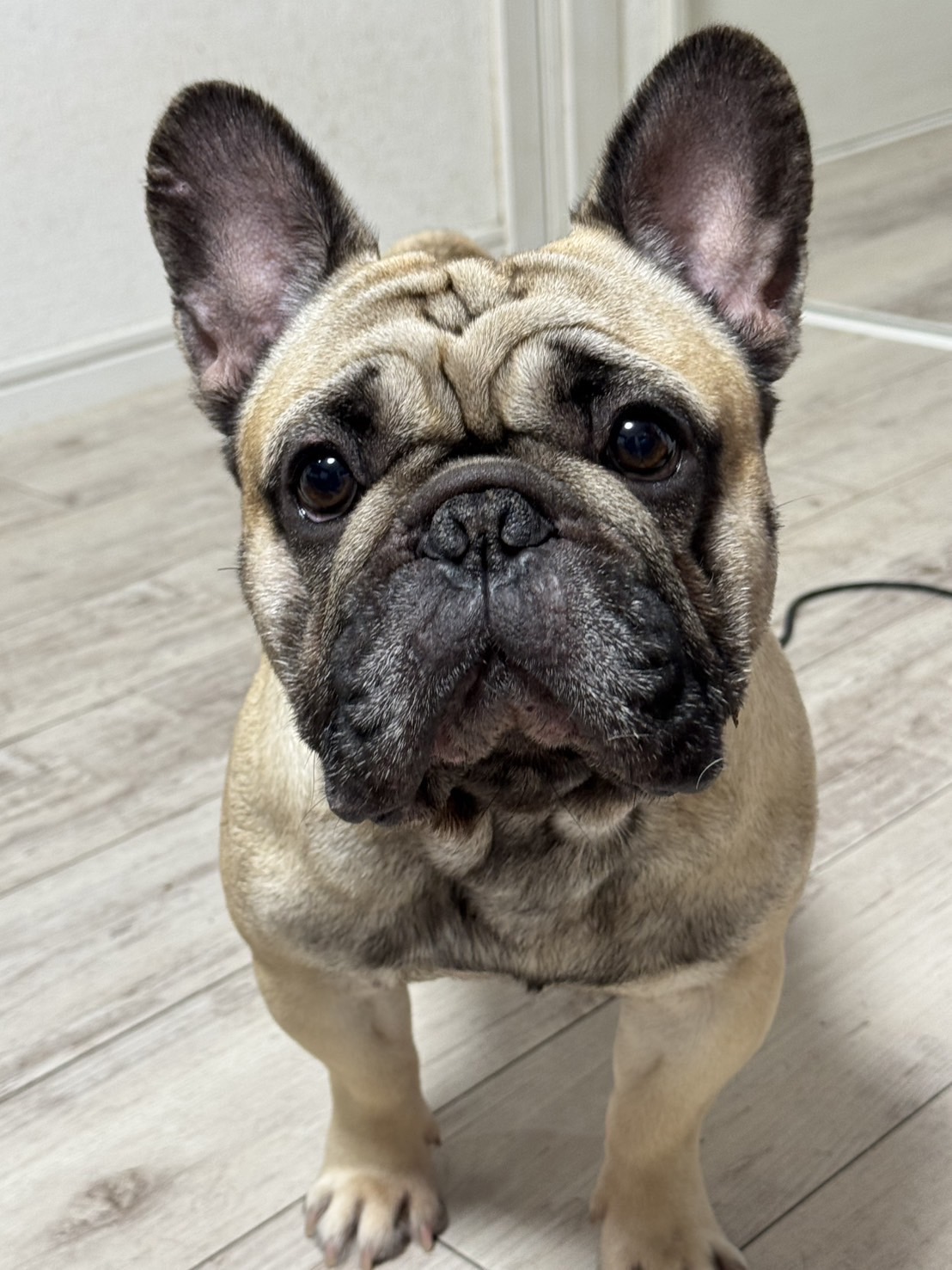 10/1�@������