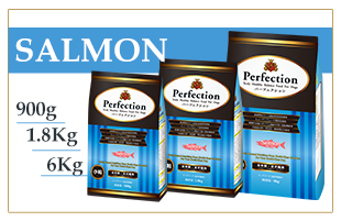 �h�b�O�t�[�h �ʔ�